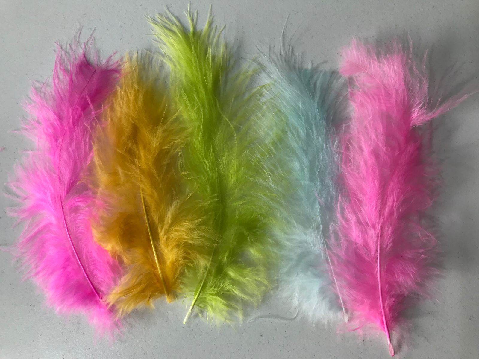 Plumas-Marabu-x-100