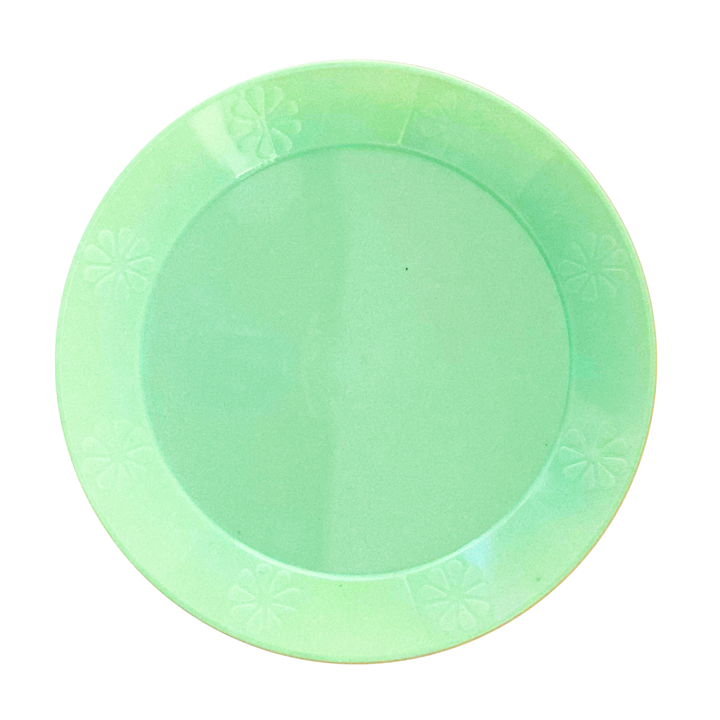 plato-plastico-verde-pastel